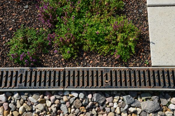 Residential Yard Drainage in New Bern
