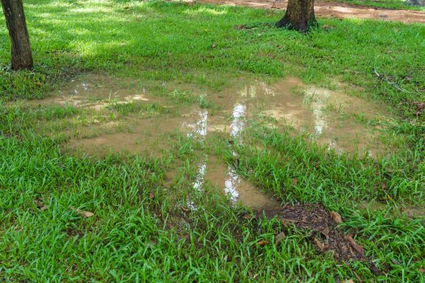 Storm Water Drainage Service in New Bern
