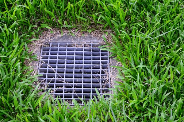 Yard Drainage Service in New Bern
