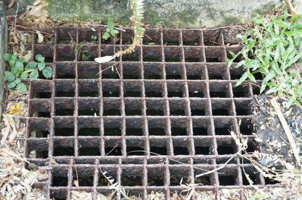 Yard Drain Cleaning in New Bern