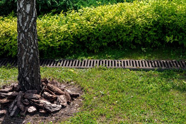 Garden Drainage Installation in New Bern