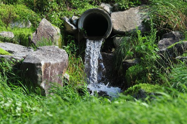 Water Redirection in New Bern