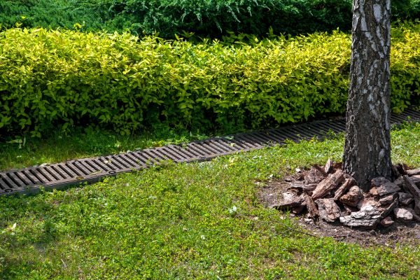 Residential Landscape Drainage in New Bern