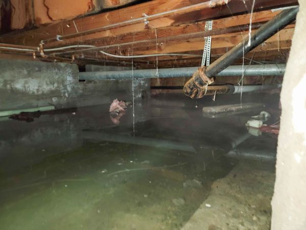 Cost of Crawlspace Drainage in New Bern