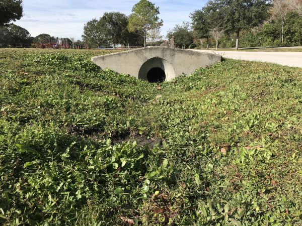 Cost of Swale Drainage Service in New Bern